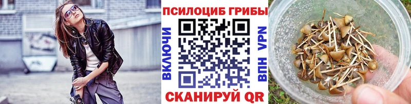 Псилоцибиновые грибы Cubensis что такое hydra онион Конаково